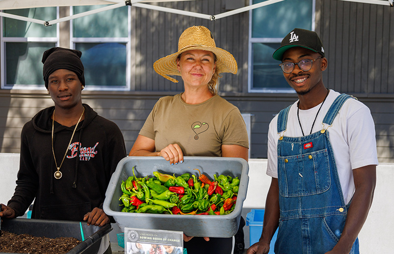 Farm stand at Summerfest event.